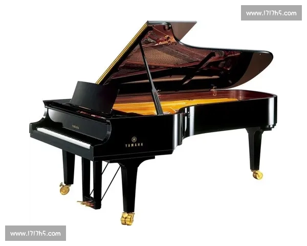 以斯坦威比赛为平台探索世界顶级钢琴艺术的魅力与挑战 以斯坦威比赛为平台探索世界顶级钢琴艺术的魅力与挑战