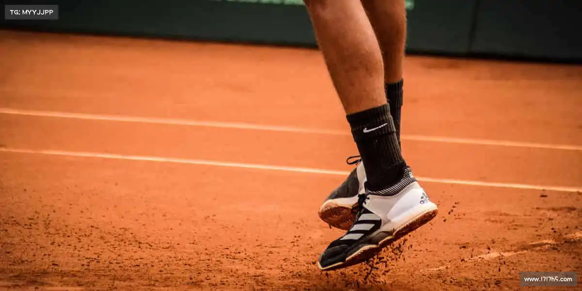 为什么选择我们